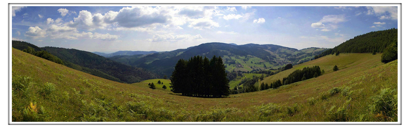 Wieden Panorama